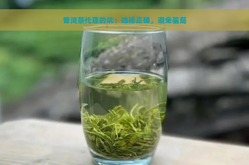 普洱茶代理的坑：选择正确，避免骗局