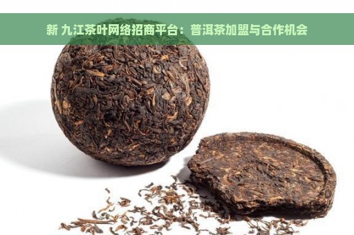 新 九江茶叶网络招商平台：普洱茶加盟与合作机会