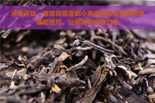 从零开始：教你完整泡制小青柑陈皮普洱茶的步骤和技巧，让你体验极致口感