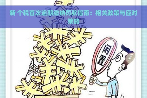 新 个税首次逾期缴纳罚款指南：相关政策与应对策略