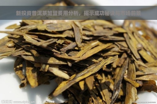 新投资普洱茶加盟费用分析，揭示成功秘诀与市场前景