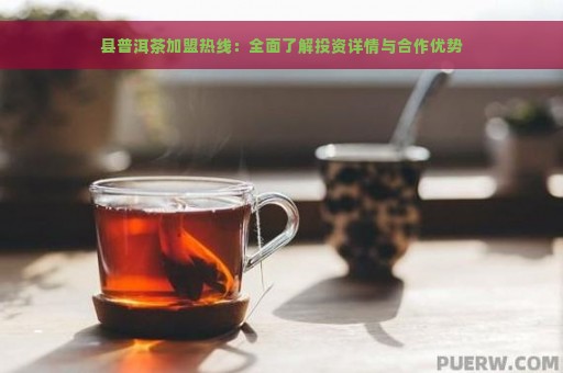 县普洱茶加盟热线：全面了解投资详情与合作优势