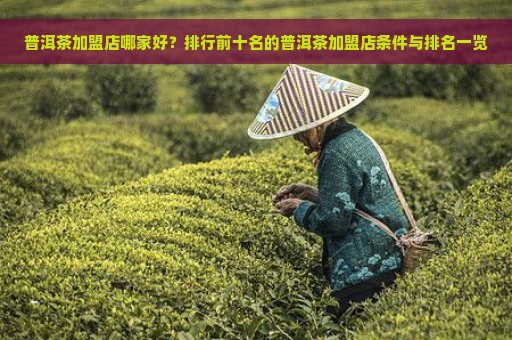 普洱茶加盟店哪家好？排行前十名的普洱茶加盟店条件与排名一览