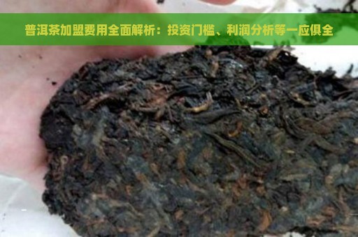 普洱茶加盟费用全面解析：投资门槛、利润分析等一应俱全