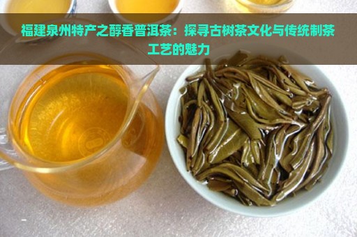 福建泉州特产之醇香普洱茶：探寻古树茶文化与传统制茶工艺的魅力