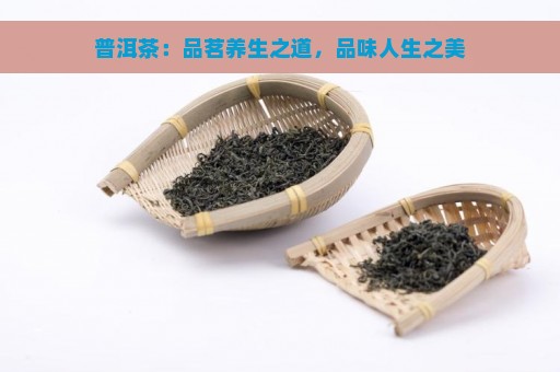 普洱茶：品茗养生之道，品味人生之美