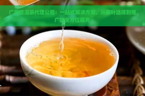 广西普洱茶代理公司：一站式解决方案，从茶叶选择到推广的全方位服务