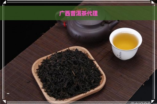 广西普洱茶代理