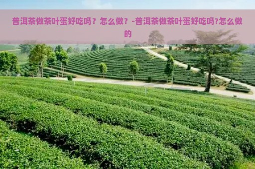 普洱茶做茶叶蛋好吃吗？怎么做？-普洱茶做茶叶蛋好吃吗?怎么做的