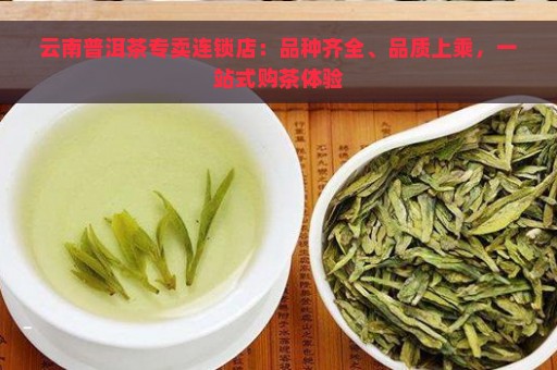 云南普洱茶专卖连锁店：品种齐全、品质上乘，一站式购茶体验