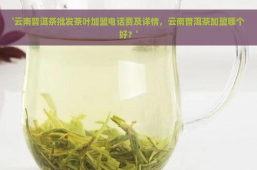 '云南普洱茶批发茶叶加盟电话费及详情，云南普洱茶加盟哪个好？'