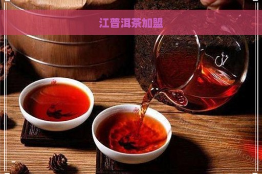 江普洱茶加盟