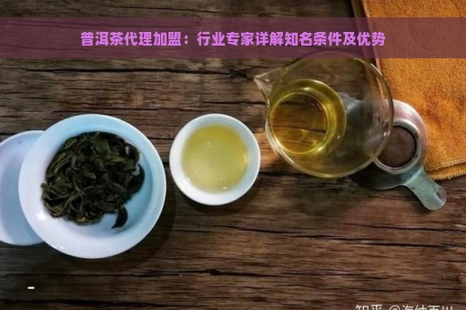 普洱茶代理加盟：行业专家详解知名条件及优势