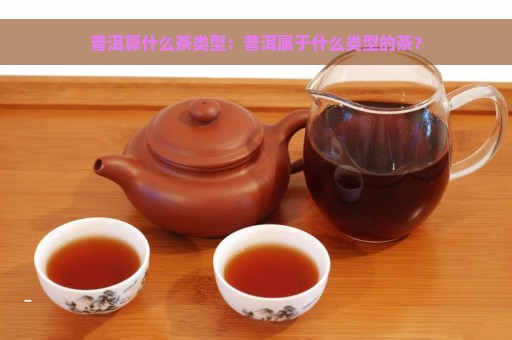 普洱算什么茶类型：普洱属于什么类型的茶？