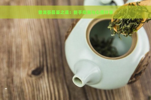 普洱茶品鉴之道：新手指南与心得分享