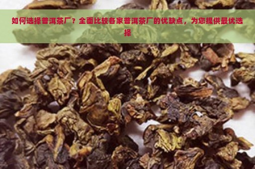 如何选择普洱茶厂？全面比较各家普洱茶厂的优缺点，为您提供最优选择