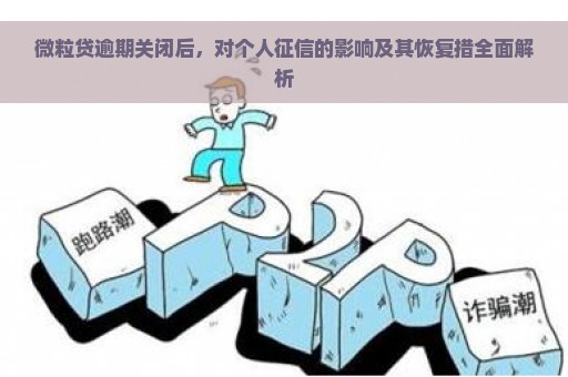 微粒贷逾期关闭后，对个人征信的影响及其恢复措全面解析