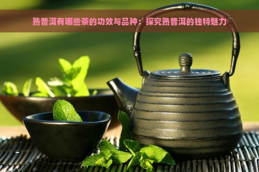 熟普洱有哪些茶的功效与品种：探究熟普洱的独特魅力