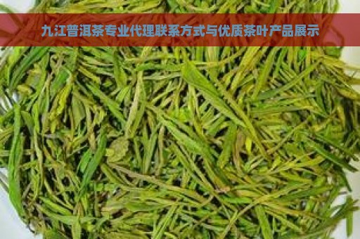 九江普洱茶专业代理联系方式与优质茶叶产品展示