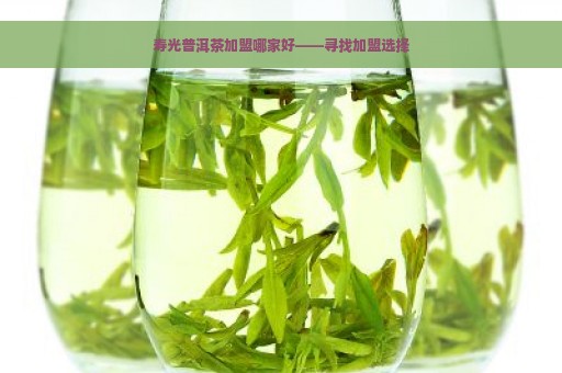 寿光普洱茶加盟哪家好——寻找加盟选择