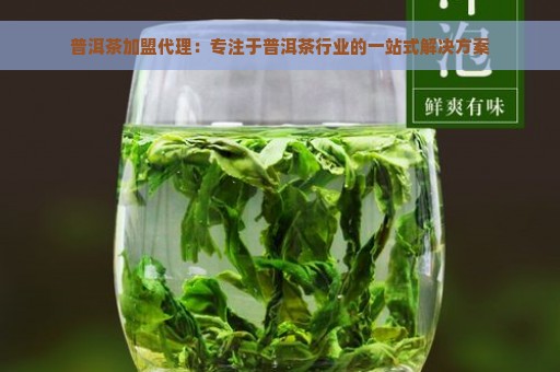 普洱茶加盟代理：专注于普洱茶行业的一站式解决方案