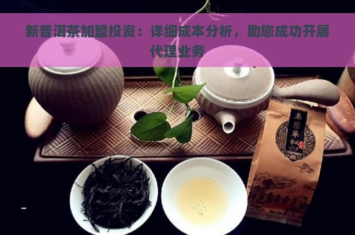 新普洱茶加盟投资：详细成本分析，助您成功开展代理业务