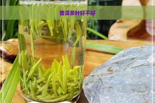 普洱茶叶好不好