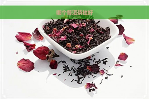 哪个普洱茶柱好