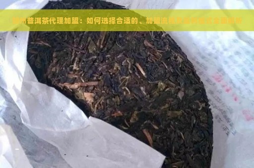 朔州普洱茶代理加盟：如何选择合适的、加盟流程及盈利模式全面解析