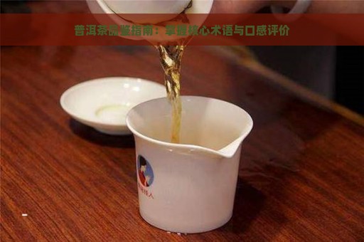 普洱茶品鉴指南：掌握核心术语与口感评价