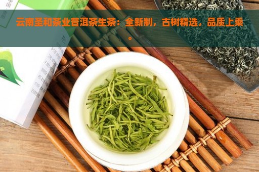 云南圣和茶业普洱茶生茶：全新制，古树精选，品质上乘。