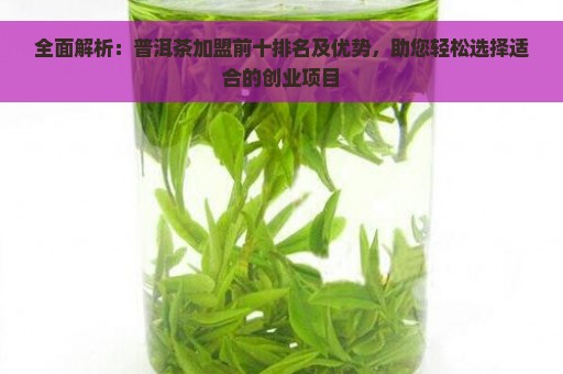 全面解析：普洱茶加盟前十排名及优势，助您轻松选择适合的创业项目