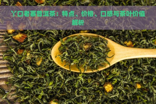 丫口老寨普洱茶：特点、价格、口感与茶叶价值解析