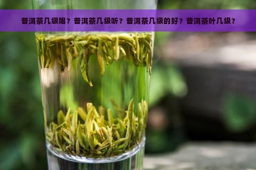 普洱茶几级喝？普洱茶几级听？普洱茶几级的好？普洱茶叶几级？