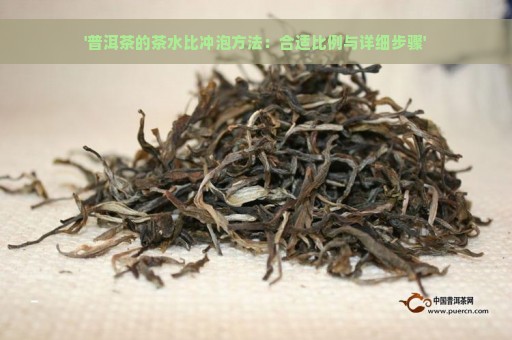 '普洱茶的茶水比冲泡方法：合适比例与详细步骤'