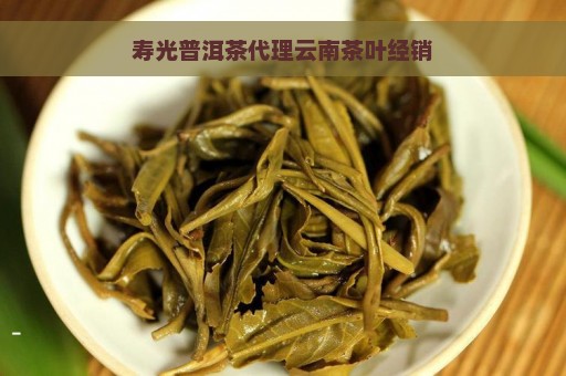 寿光普洱茶代理云南茶叶经销