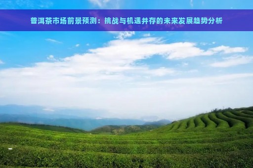 普洱茶市场前景预测：挑战与机遇并存的未来发展趋势分析