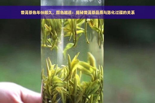 普洱茶色年份越久，颜色越透：揭秘普洱茶品质与陈化过程的关系