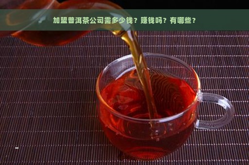 加盟普洱茶公司需多少钱？赚钱吗？有哪些？