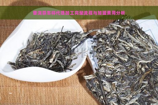 普洱茶怎样代理加工完整流程与加盟费用分析