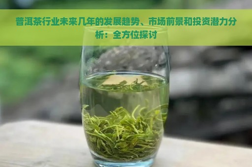 普洱茶行业未来几年的发展趋势、市场前景和投资潜力分析：全方位探讨