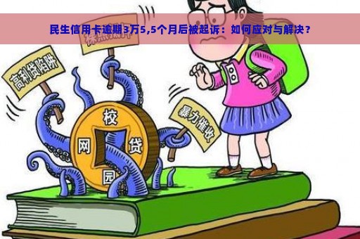 民生信用卡逾期3万5,5个月后被起诉：如何应对与解决？