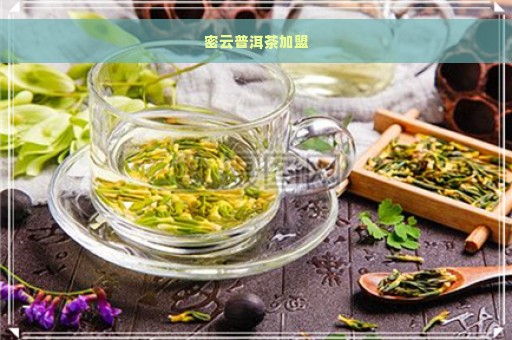 密云普洱茶加盟