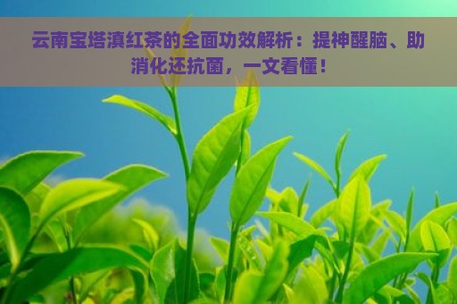 云南宝塔滇红茶的全面功效解析：提神醒脑、助消化还抗菌，一文看懂！