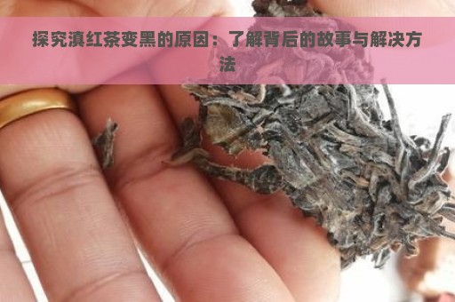 探究滇红茶变黑的原因：了解背后的故事与解决方法