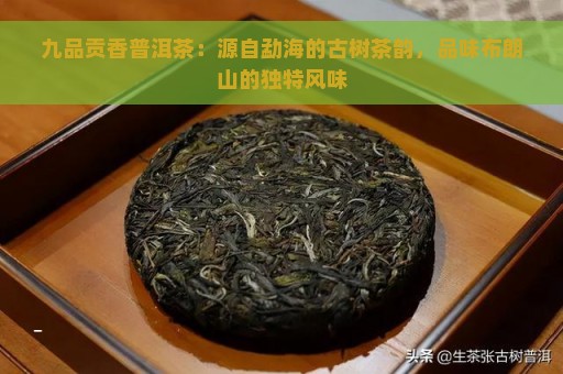 九品贡香普洱茶：源自勐海的古树茶韵，品味布朗山的独特风味