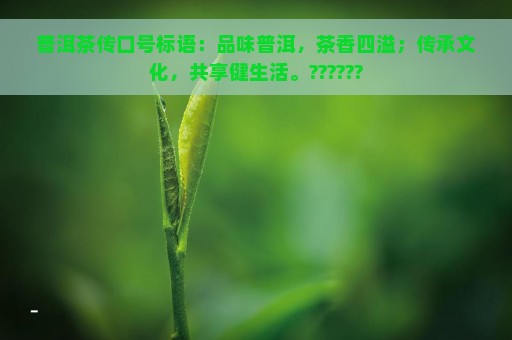 普洱茶传口号标语：品味普洱，茶香四溢；传承文化，共享健生活。??????