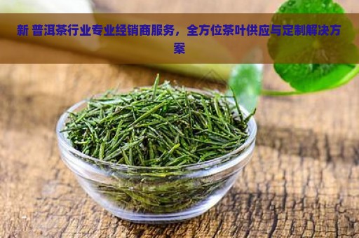 新 普洱茶行业专业经销商服务，全方位茶叶供应与定制解决方案