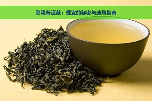 彩程普洱茶：便宜的秘密与选购指南