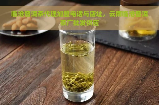 临沧普洱茶代理加盟电话与店址，云南临沧普洱茶厂批发供应